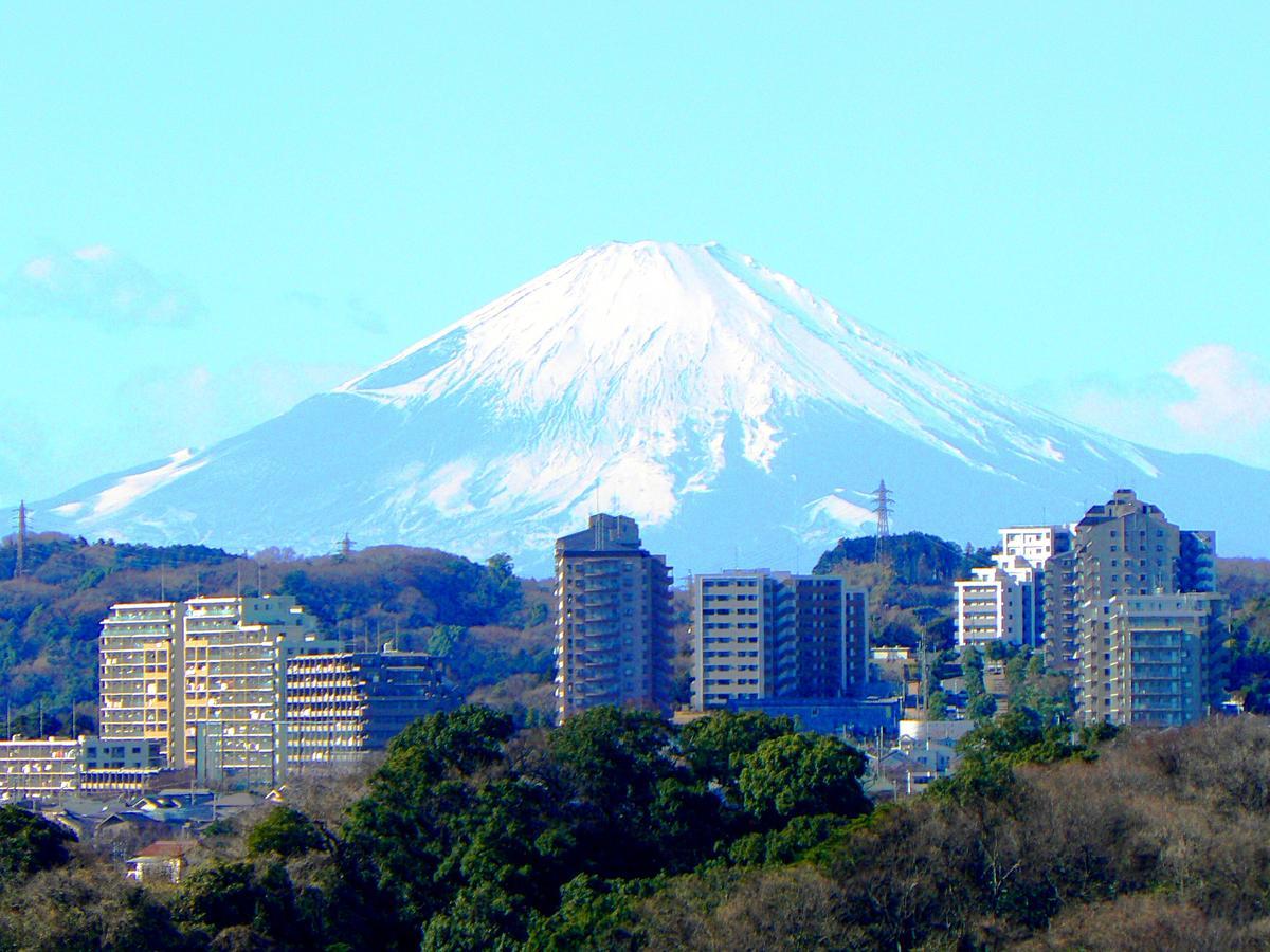 Yokohama Techno Tower Hotel Extérieur photo